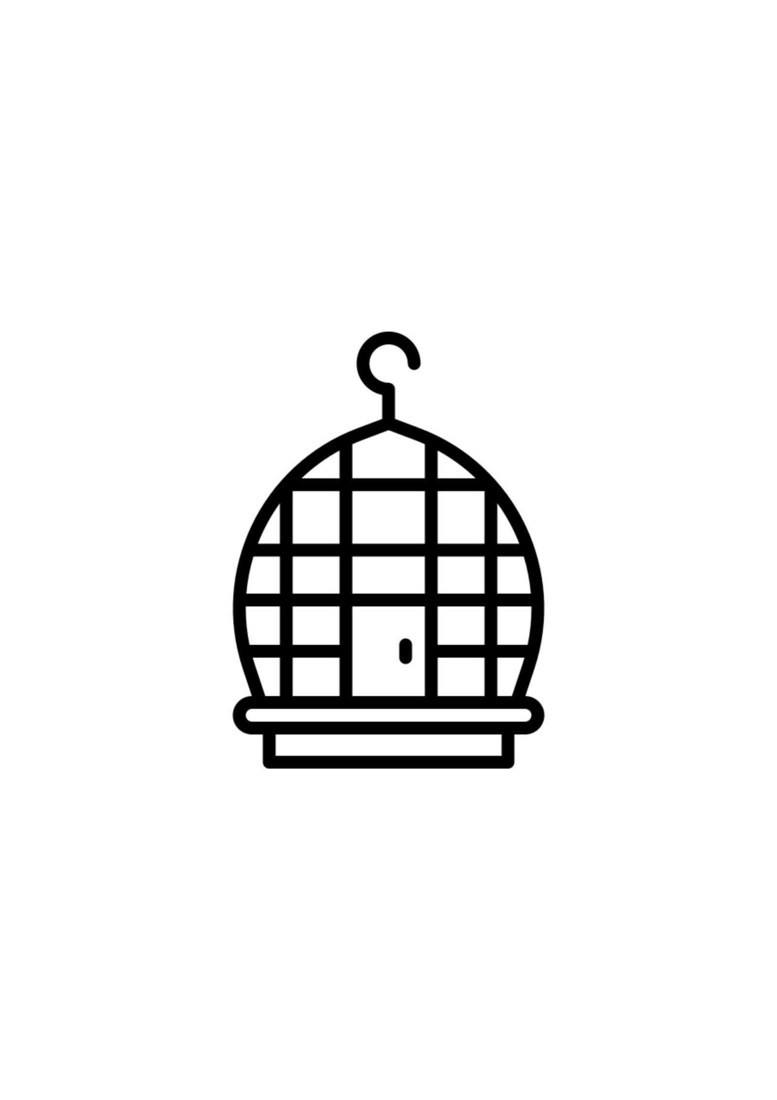 Bird wire system in bird control services